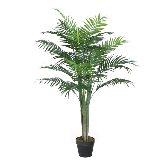 Potted Mini Palm Tree 4'