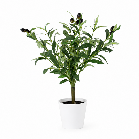 PTT137 Potted Olive Tree 17" PK 6