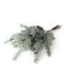 PX103 Frosted Pine w/Pinecone Pick Bundle 19" PK6