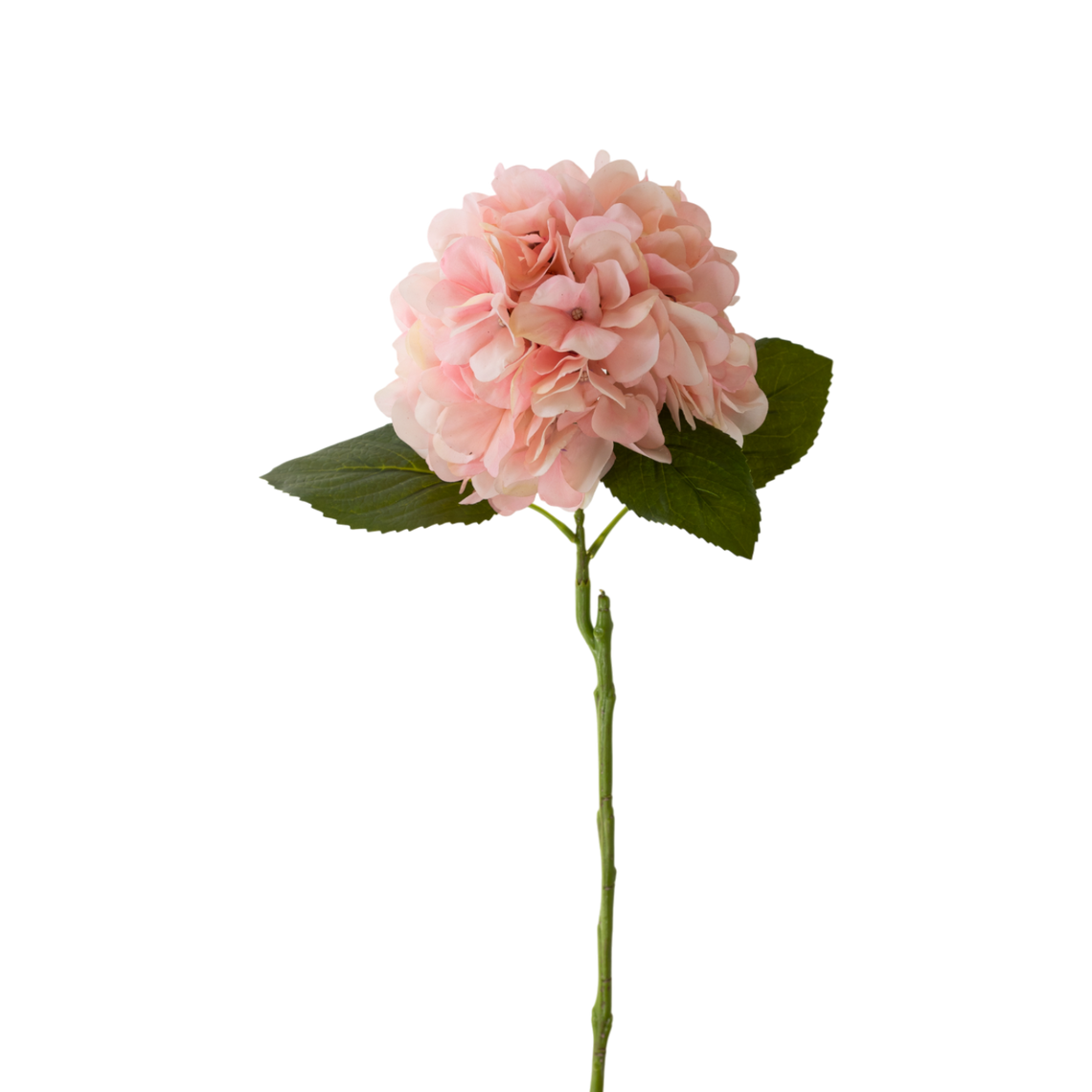 RT100 Real Touch Hydrangea 24" PK 12