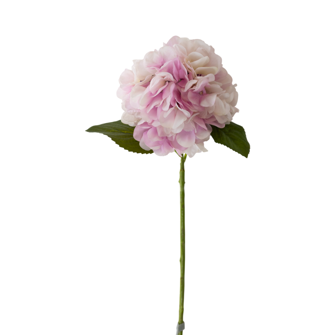 RT100 Real Touch Hydrangea 24" PK 12