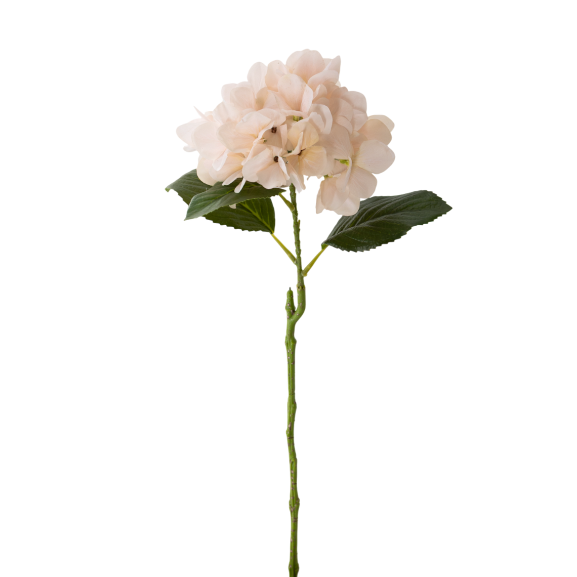 RT100 Real Touch Hydrangea 24" PK 12