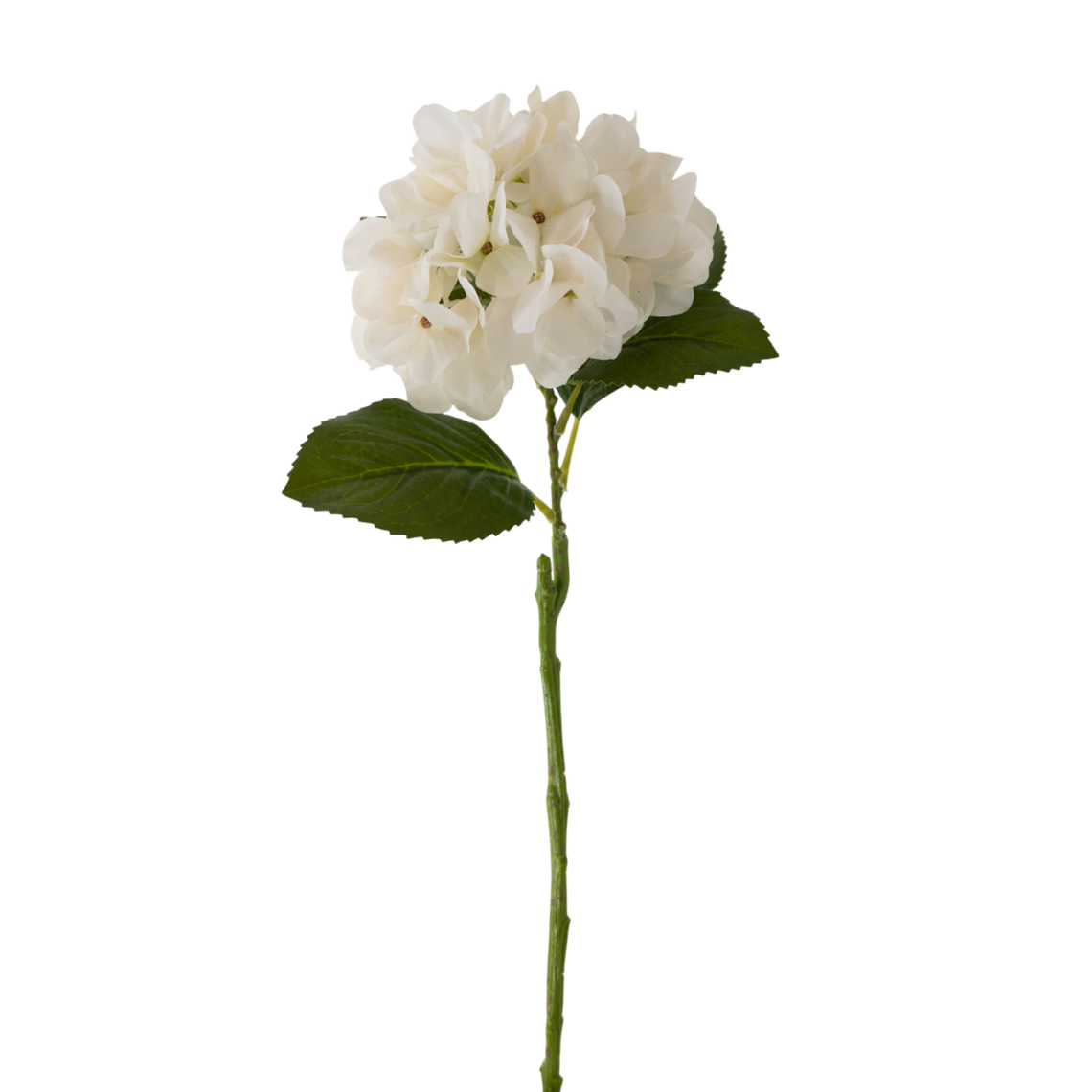 RT100 Real Touch Hydrangea 24" PK 12