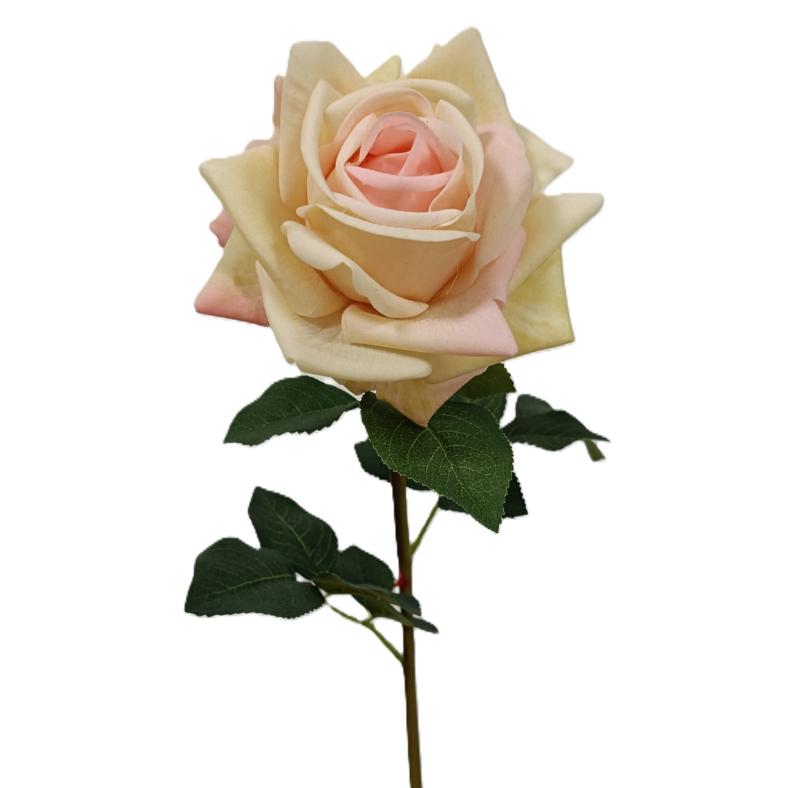 Rtd Roses RT102 Real Touch Rose 24