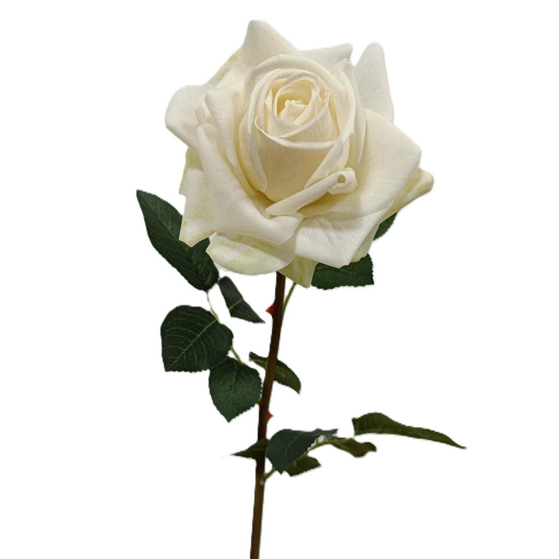 Rtd Roses RT102 Real Touch Rose 24
