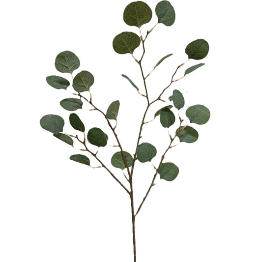 Real Touch Eucalyptus