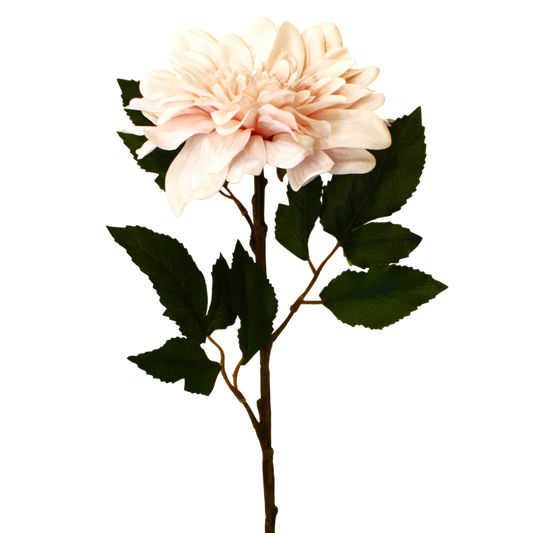 RT104 LT PI Real Touch Dahlia 12" PK 12