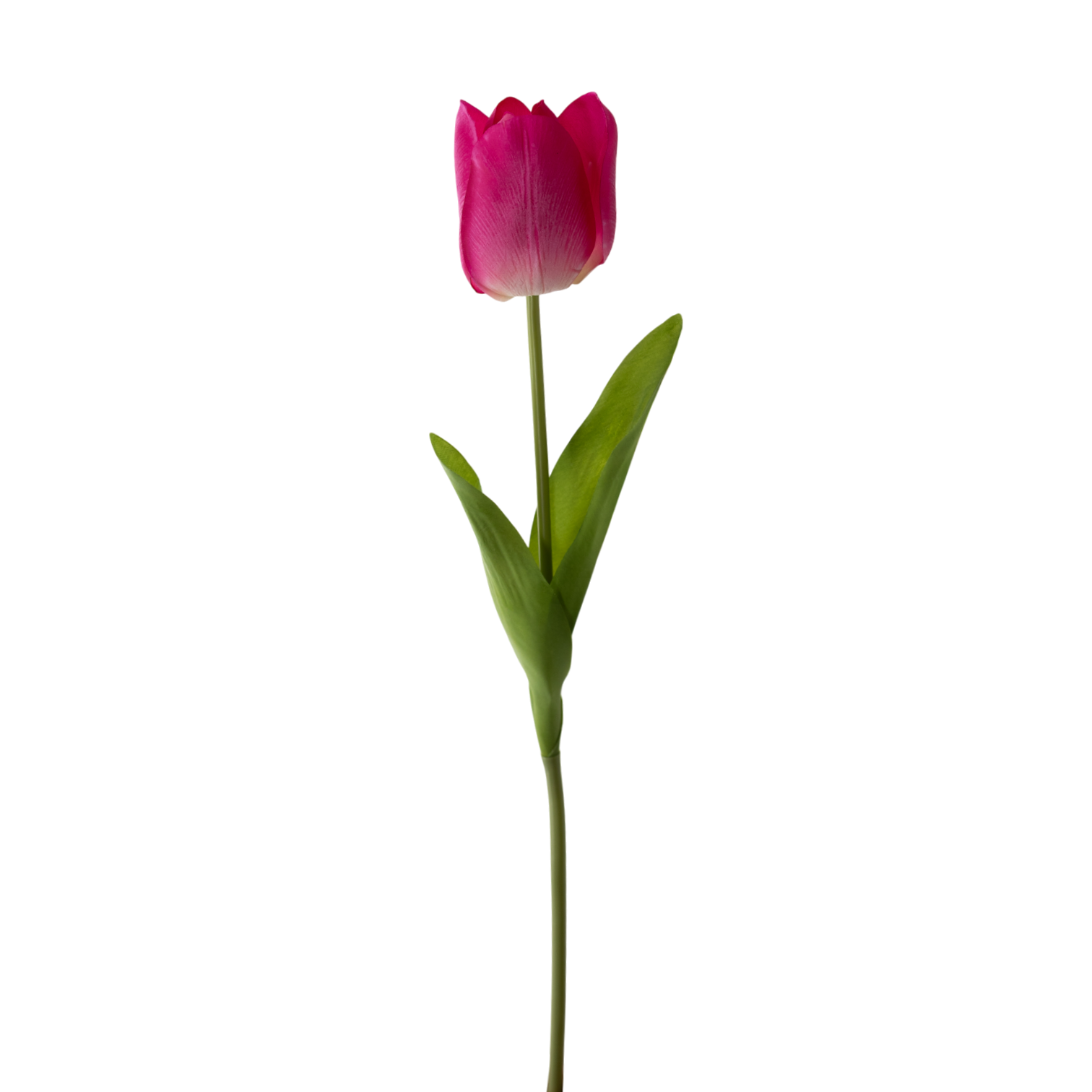 RT106 Real Touch Tulip 20