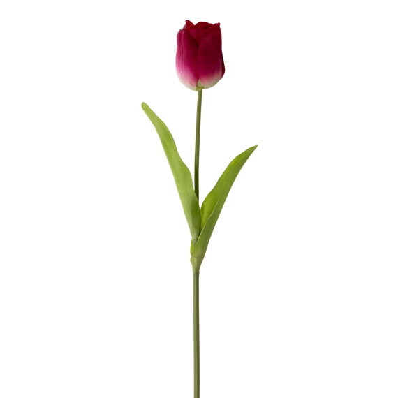 RT106 Real Touch Tulip 36" PK 12
