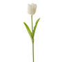 RT106 Real Touch Tulip 36" PK 12