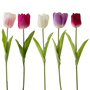 RT106 Real Touch Tulip 36" PK 12