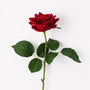 RT107 Real Touch Rose 20" PK 12