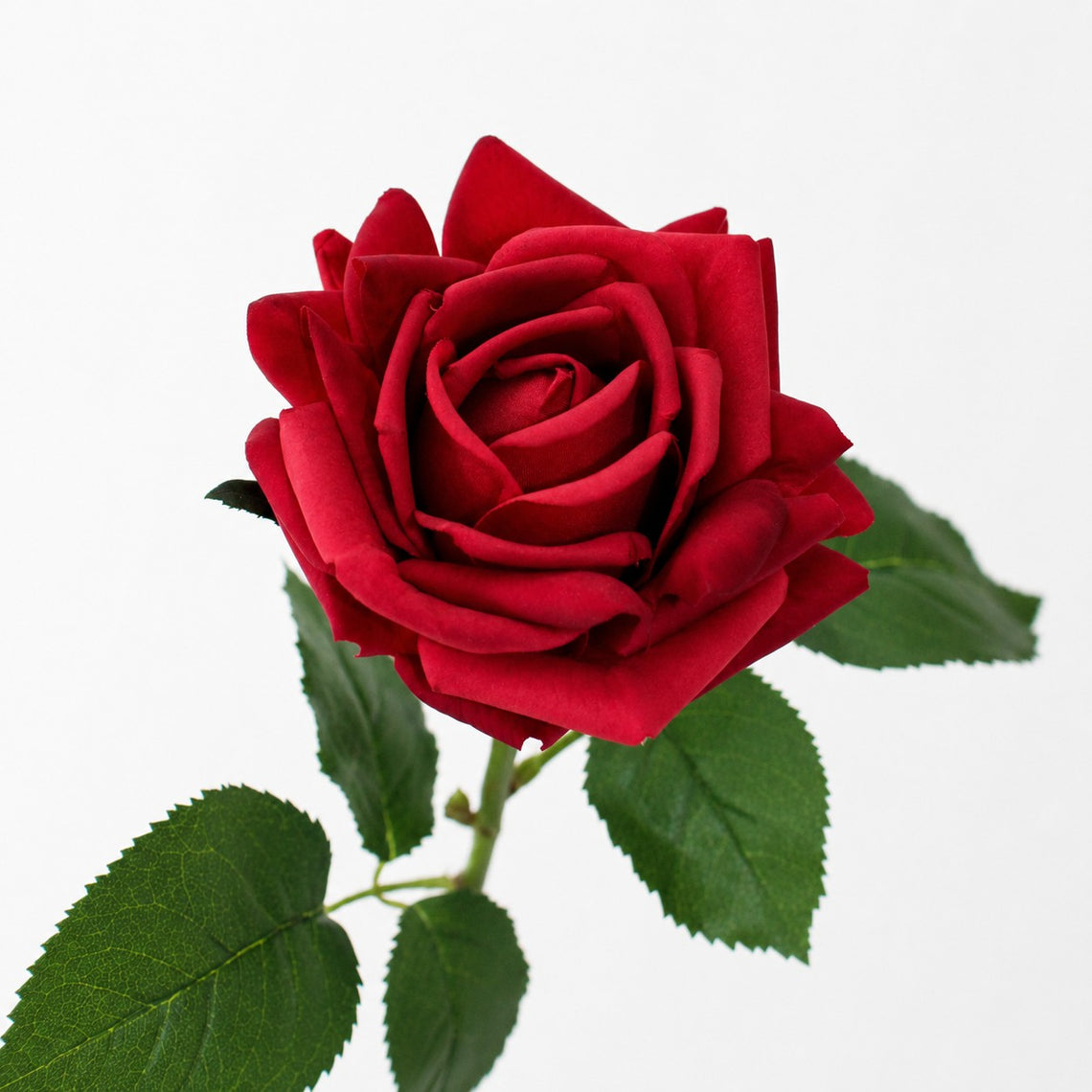 RT107 Real Touch Rose 20" PK 12