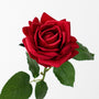 RT107 Real Touch Rose 20" PK 12