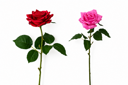 RT107 Real Touch Rose 20" PK 12