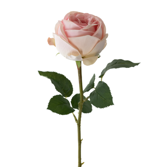 RT108 LT PI Real Touch Rose Bud 24" PK 12