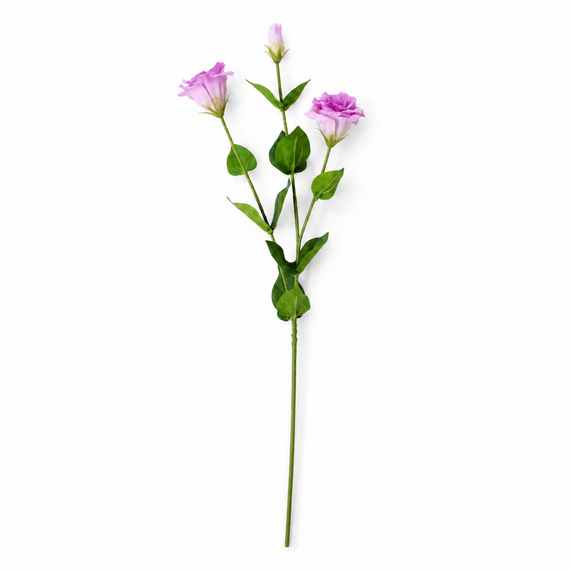 RT110 Real Touch Eustoma 28.5" PK 24