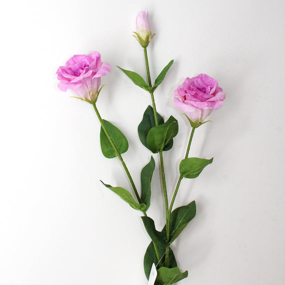 RT110 Real Touch Eustoma 28.5" PK 24
