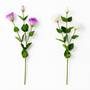 RT110 Real Touch Eustoma 28.5" PK 24