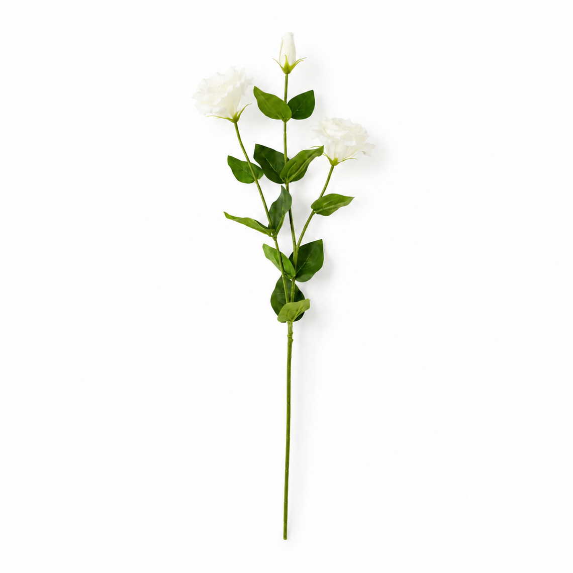 RT110 Real Touch Eustoma 28.5" PK 24