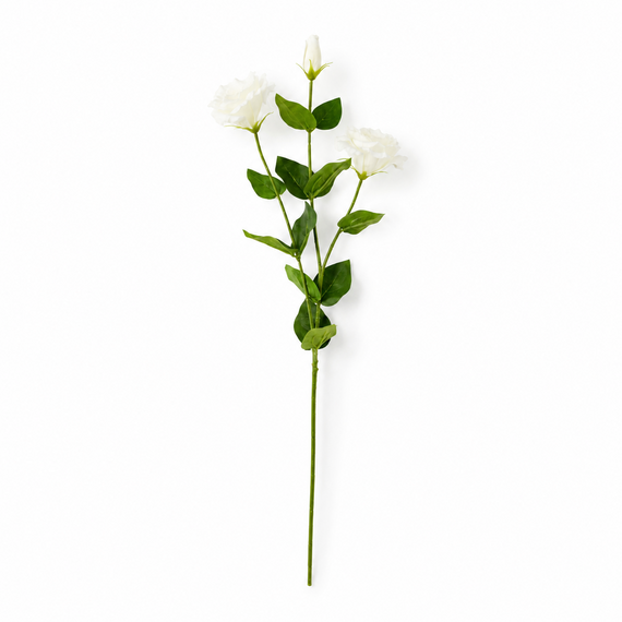 RT110 Real Touch Eustoma 28.5" PK 24