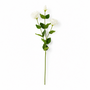 RT110 Real Touch Eustoma 28.5" PK 24