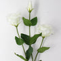 RT110 Real Touch Eustoma 28.5" PK 24