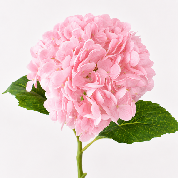 RT111  Real Touch Hydrangea 19" PK 12
