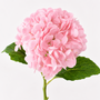 RT111  Real Touch Hydrangea 19" PK 12