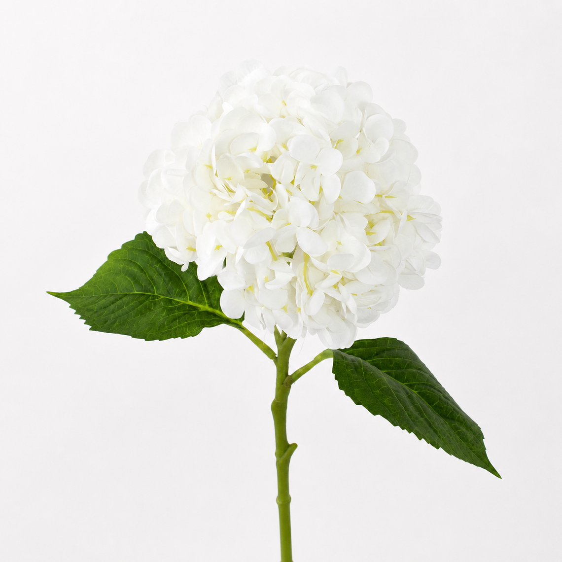 RT111  Real Touch Hydrangea 19" PK 12