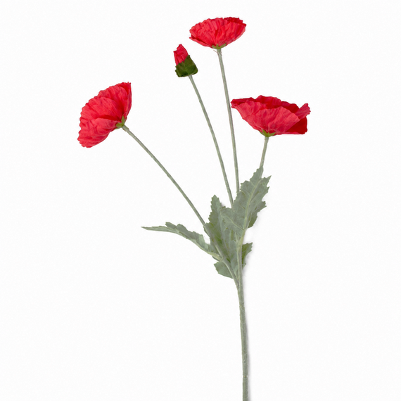 RT112 Real Touch Poppy 25" PK 24