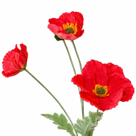 RT112 Real Touch Poppy 25" PK 24
