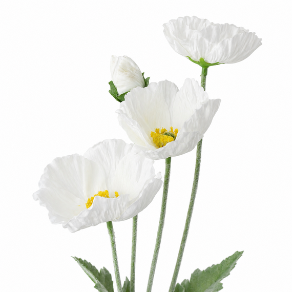RT112 Real Touch Poppy 25" PK 24