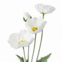 RT112 Real Touch Poppy 25" PK 24