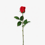 RT114 Real Touch Rose 18.5" PK 48