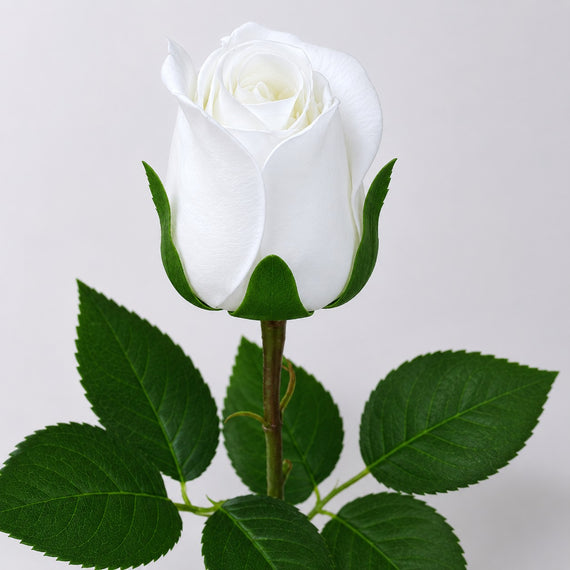 RT114 Real Touch Rose 18.5" PK 48