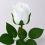 RT114 Real Touch Rose 18.5" PK 48