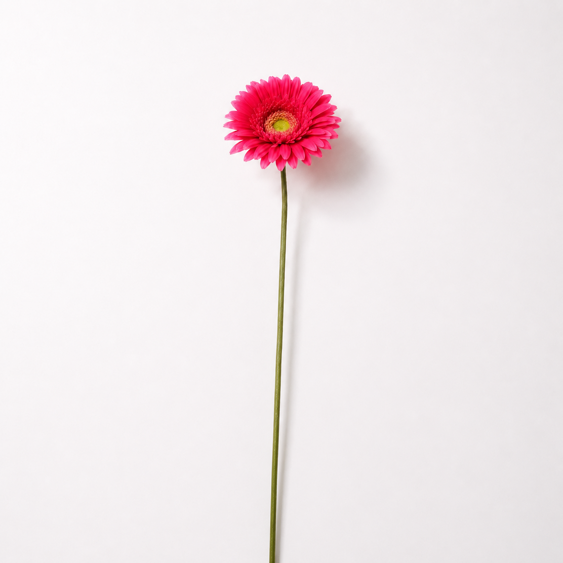 RT116 Real Touch Chrysanthemum 25.5" PK 24