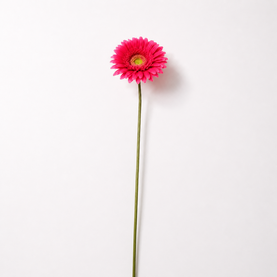 RT116 Real Touch Chrysanthemum 25.5" PK 24