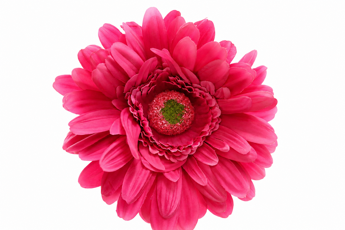 RT116 Real Touch Chrysanthemum 25.5" PK 24