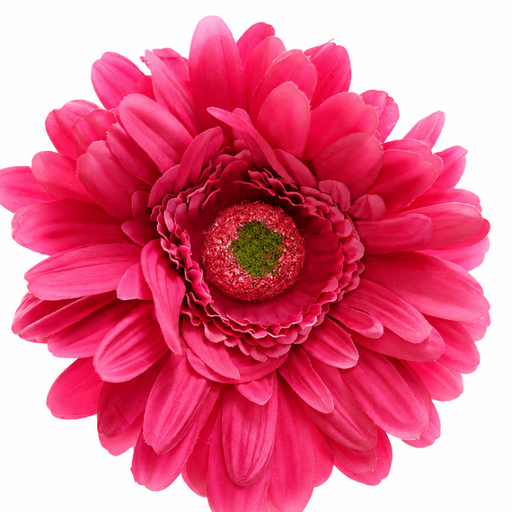 RT116 Real Touch Chrysanthemum 25.5" PK 24