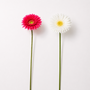 RT116 Real Touch Chrysanthemum 25.5" PK 24
