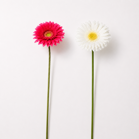 RT116 Real Touch Chrysanthemum 25.5" PK 24