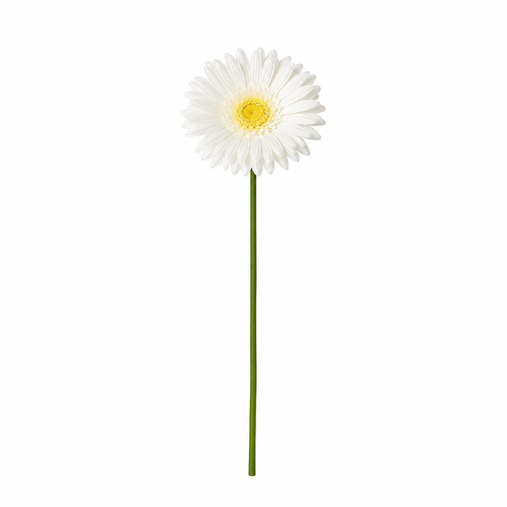 RT116 Real Touch Chrysanthemum 25.5" PK 24