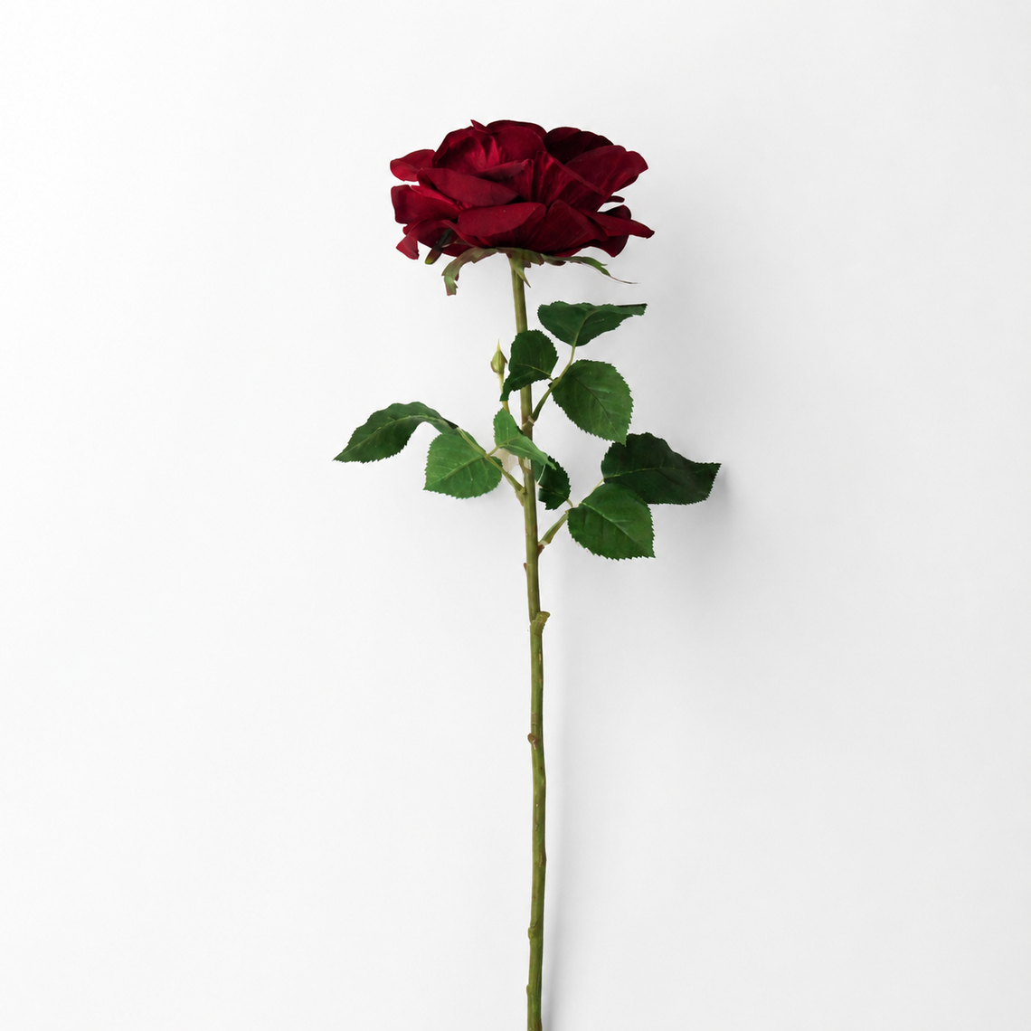 RT117 RE Real Touch Rose 30" PK 12
