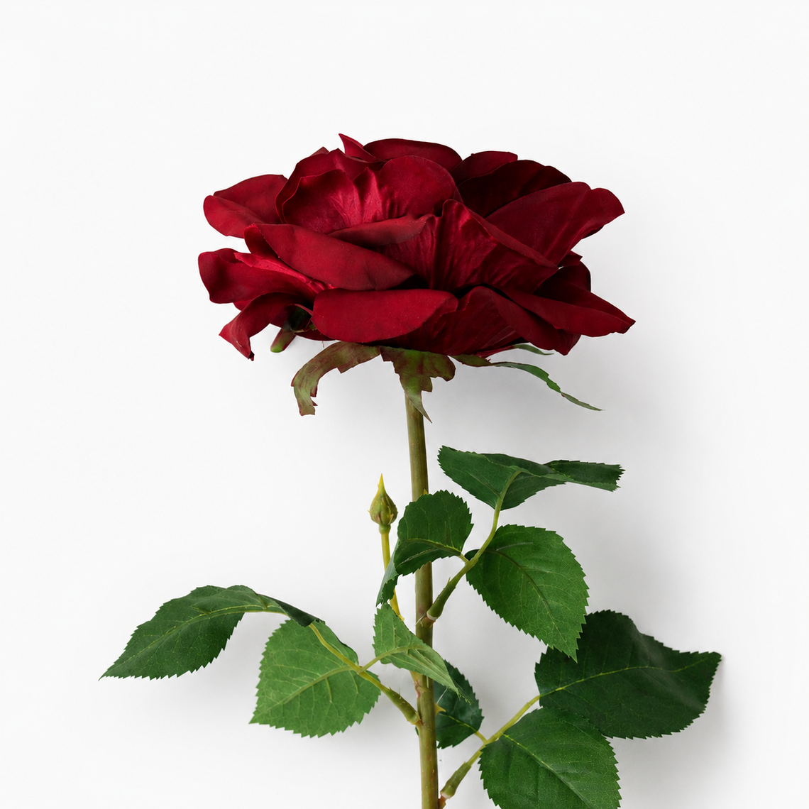 RT117 RE Real Touch Rose 30" PK 12