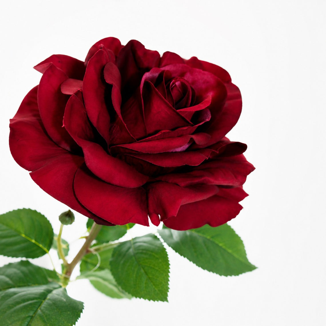 RT117 RE Real Touch Rose 30" PK 12