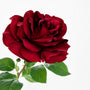 RT117 RE Real Touch Rose 30" PK 12