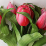 RTB100  Real Touch Tulip Bundle 10" PK 12