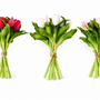 RTB100  Real Touch Tulip Bundle 10" PK 12